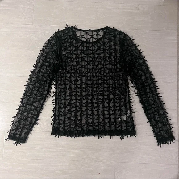 ZARA Sheer Bow Mesh Long Sleeve Crew Neck Layering Top in Size M HOLIDAY PARTY - Picture 3 of 6